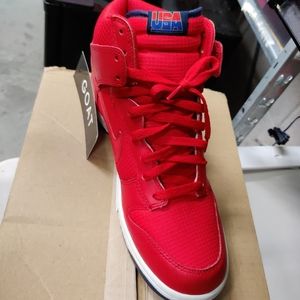 Mike dunk high team usa